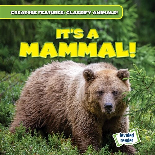 Its a Mammal! (Paperback)