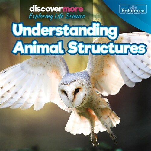 Understanding Animal Structures (Paperback)