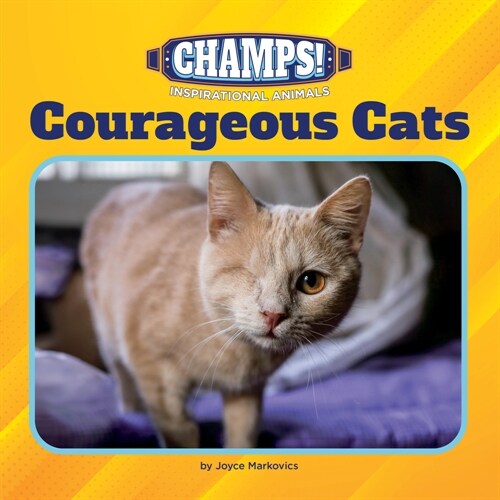 Courageous Cats (Paperback)