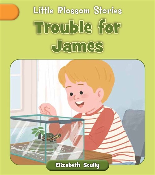 Trouble for James (Paperback)