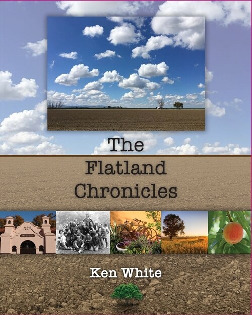 The Flatland Chronicles (Paperback)