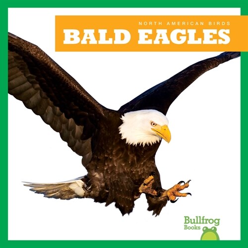 Bald Eagles (Library Binding)
