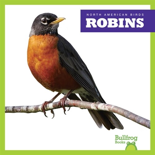 Robins (Paperback)