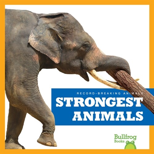 Strongest Animals (Paperback)