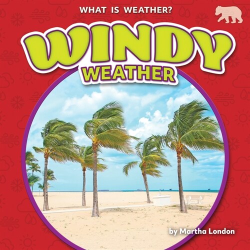 Windy Weather (Paperback)