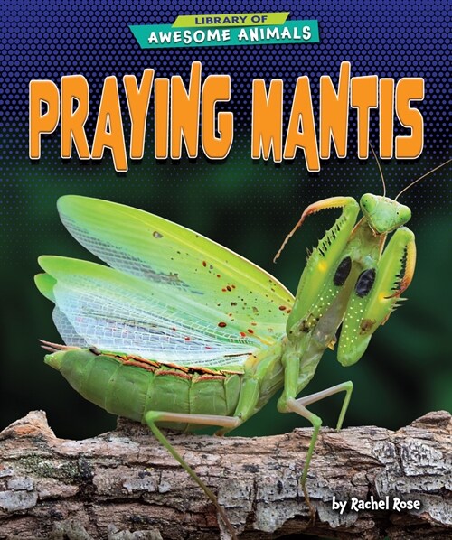 Praying Mantis (Paperback)