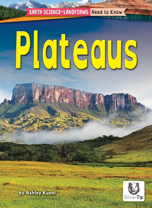 Plateaus (Paperback)