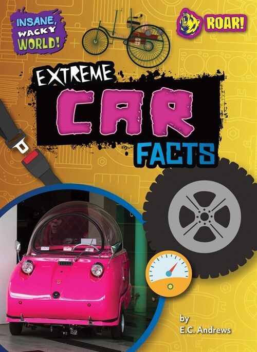 Extreme Car Facts (Paperback)