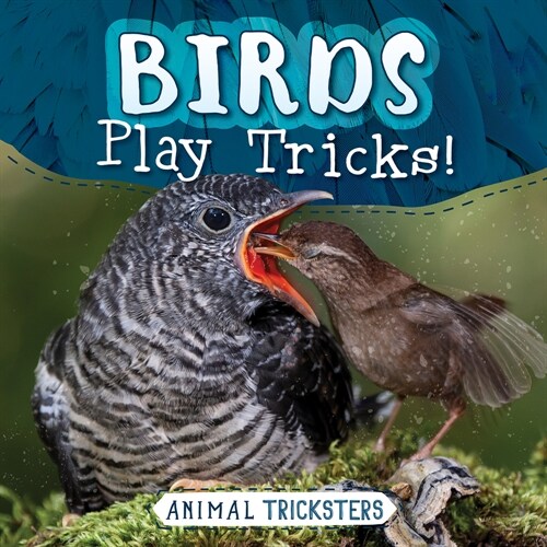 Birds Play Tricks! (Paperback)