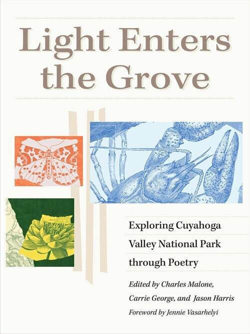 Light Enters the Grove: Exploring Cuyahoga Valley National Park Through Poetry (Paperback)