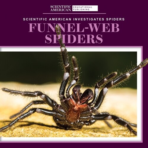 Funnel-Web Spiders (Library Binding)
