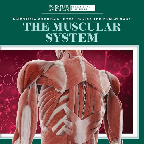 The Muscular System (Library Binding)