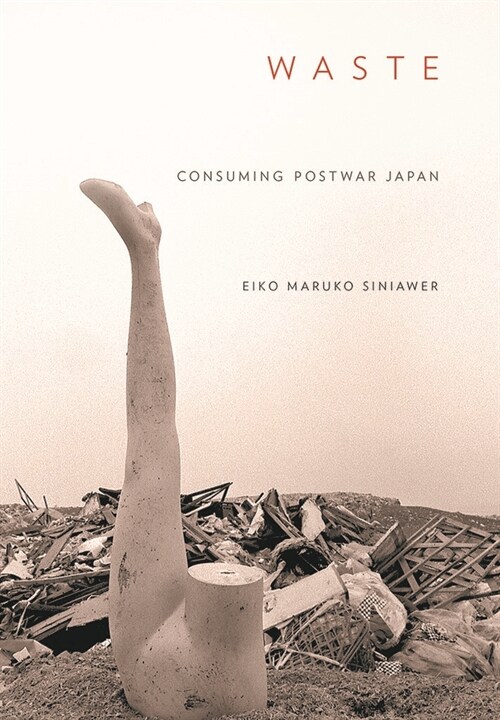 Waste: Consuming Postwar Japan (Paperback)