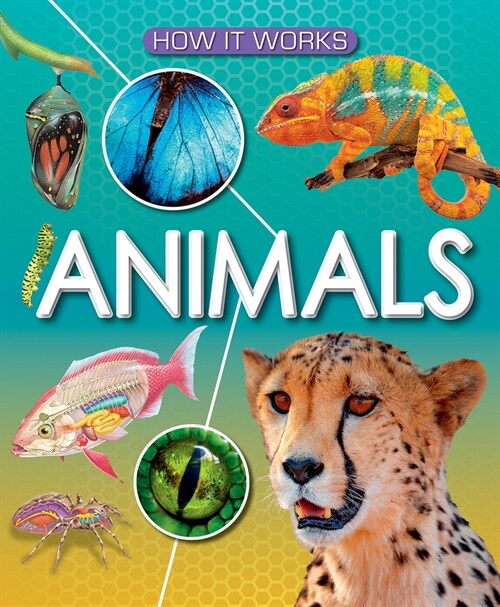 Animals (Library Binding)