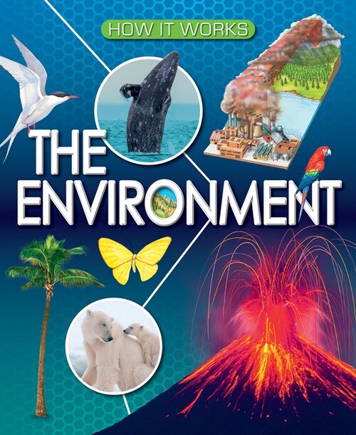 The Environment (Library Binding)