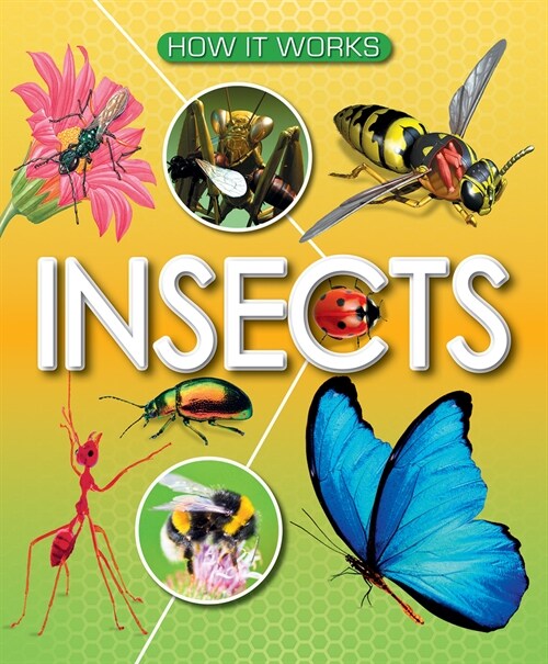 Insects (Library Binding)