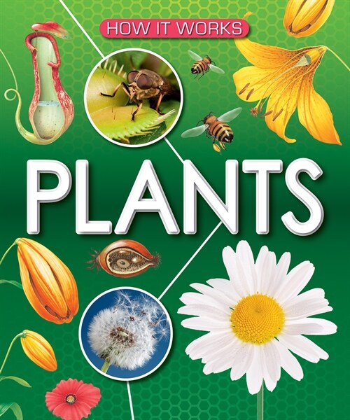 Plants (Paperback)