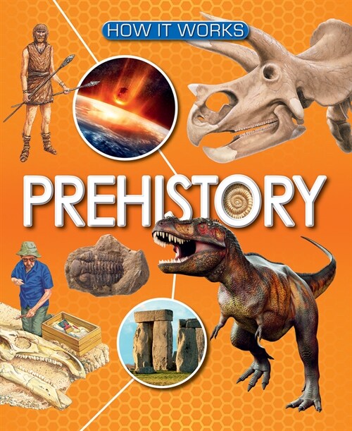 Prehistory (Paperback)