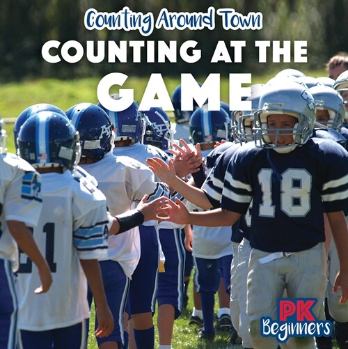 Counting at the Game (Paperback)