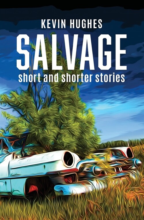 Salvage: Short and Shorter Stories (Paperback)