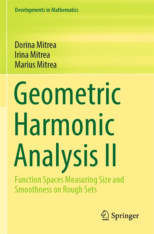 Geometric Harmonic Analysis II: Function Spaces Measuring Size and Smoothness on Rough Sets (Paperback, 2022)