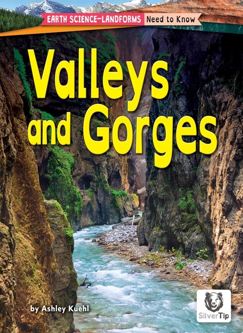 Valleys and Gorges (Library Binding)