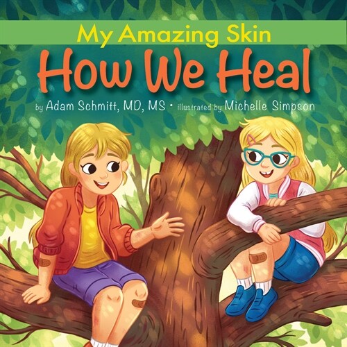 How We Heal (Paperback)