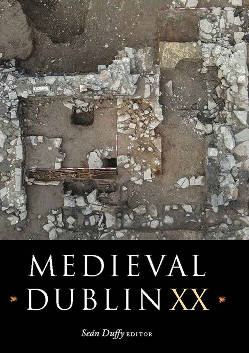 Medieval Dublin XX: Volume 20 (Hardcover)