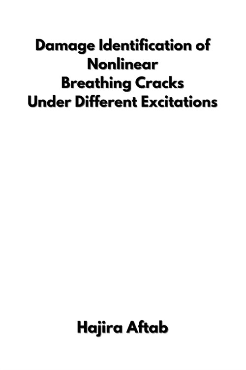 Damage Identification of Nonlinear Breathing Cracks Under Different Excitations (Paperback)