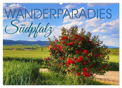 Wanderparadies Sudpfalz (Wandkalender 2024 DIN A2 quer), CALVENDO Monatskalender (Calendar)