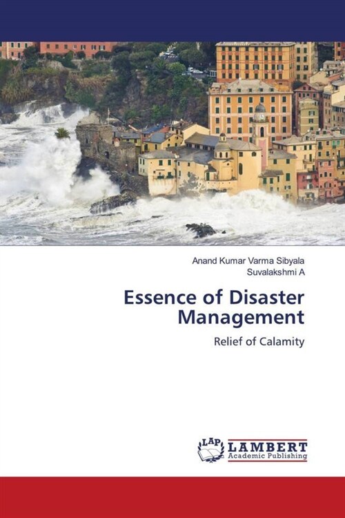 Essence of Disaster Management (Paperback)