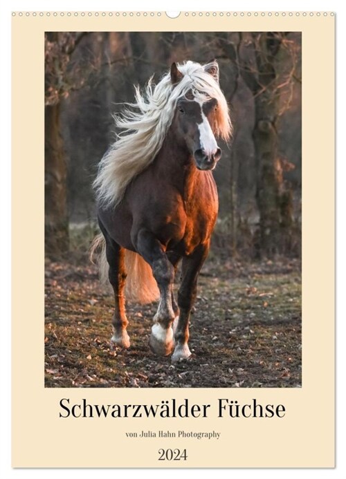 Schwarzwalder Fuchse von Julia Hahn Photography (Wandkalender 2024 DIN A2 hoch), CALVENDO Monatskalender (Calendar)