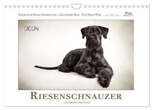 Riesenschnauzer... charakterstarke Hunde (Wandkalender 2024 DIN A4 quer), CALVENDO Monatskalender (Calendar)
