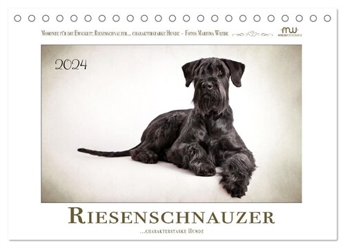 Riesenschnauzer... charakterstarke Hunde (Tischkalender 2024 DIN A5 quer), CALVENDO Monatskalender (Calendar)