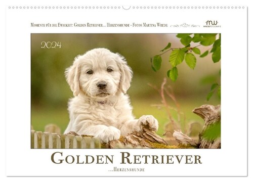 Golden Retriever... Herzenshunde (Wandkalender 2024 DIN A2 quer), CALVENDO Monatskalender (Calendar)