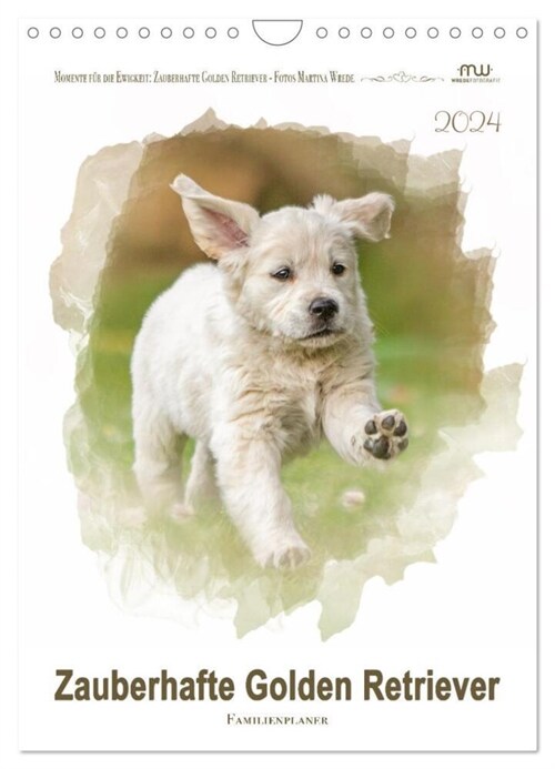 Zauberhafte Golden Retriever (Wandkalender 2024 DIN A4 hoch), CALVENDO Monatskalender (Calendar)