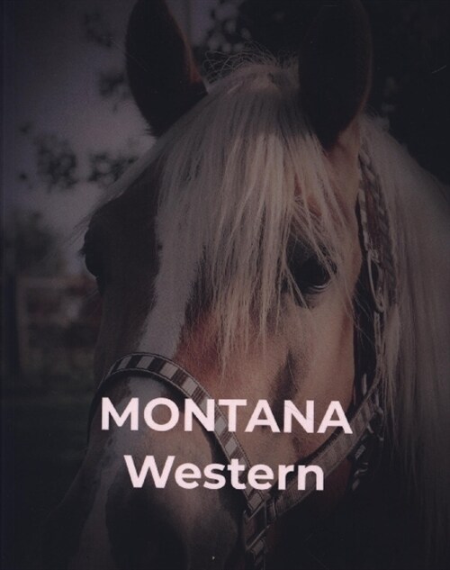 Montana (Paperback)