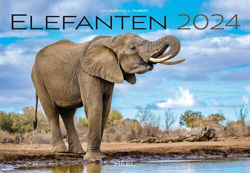 Elefanten Kalender 2024 (Calendar)