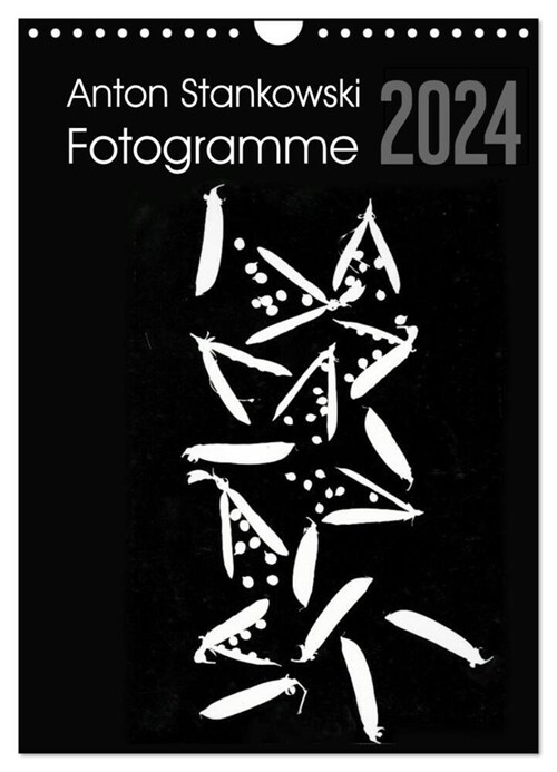 Anton Stankowski Fotogramme (Wandkalender 2024 DIN A4 hoch), CALVENDO Monatskalender (Calendar)