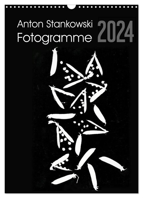 Anton Stankowski Fotogramme (Wandkalender 2024 DIN A3 hoch), CALVENDO Monatskalender (Calendar)