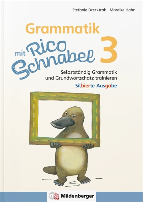 Grammatik mit Rico Schnabel, Klasse 3 - silbierte Ausgabe (Pamphlet)