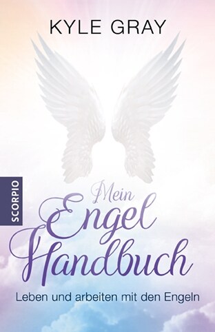Mein Engel Handbuch (Paperback)
