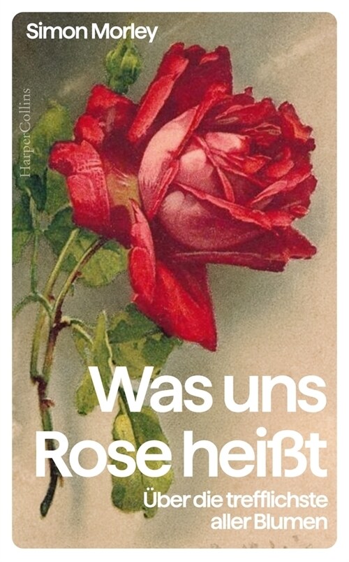 »Was uns Rose heißt«. Uber die trefflichste aller Blumen (Hardcover)