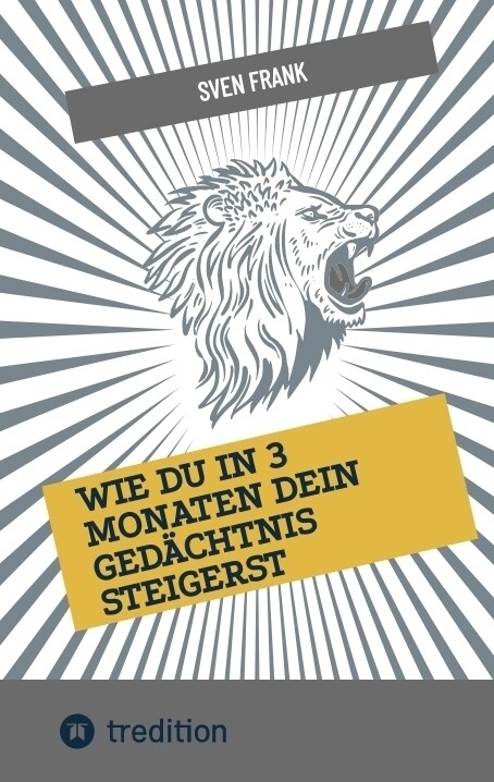 Wie du in 3 Monaten dein Gedachtnis steigerst (Paperback)