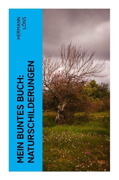 Mein buntes Buch: Naturschilderungen (Paperback)