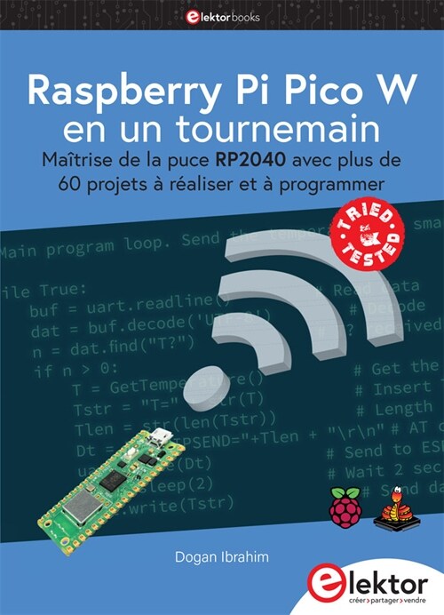 Raspberry Pi Pico W en un tournemain (Paperback)