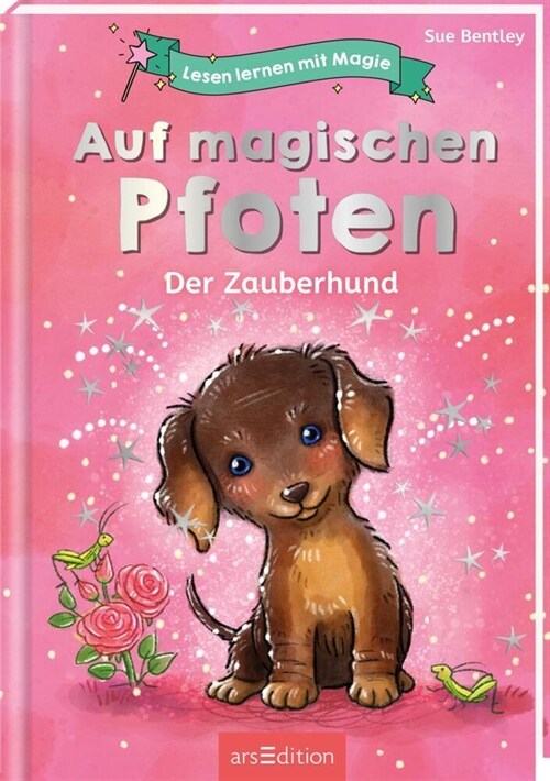 Lesen lernen mit Magie: Auf magischen Pfoten (Hardcover)