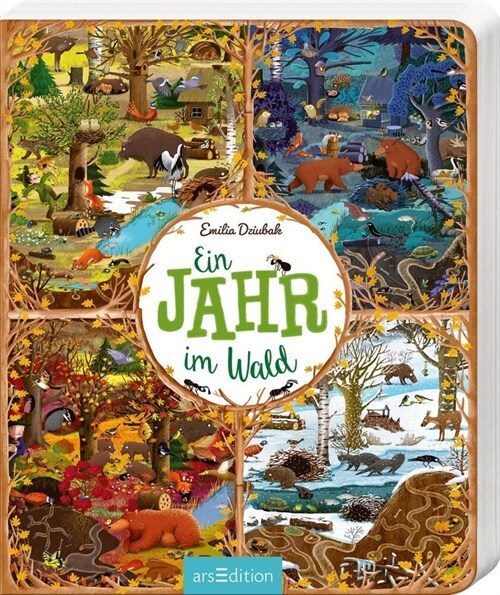 Ein Jahr im Wald (Board Book)