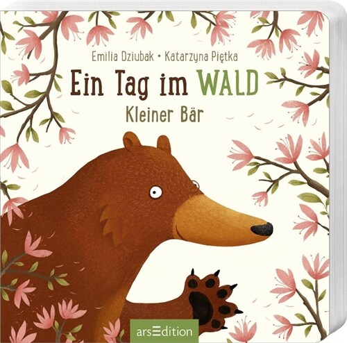 Ein Tag im Wald: Kleiner Bar (Board Book)