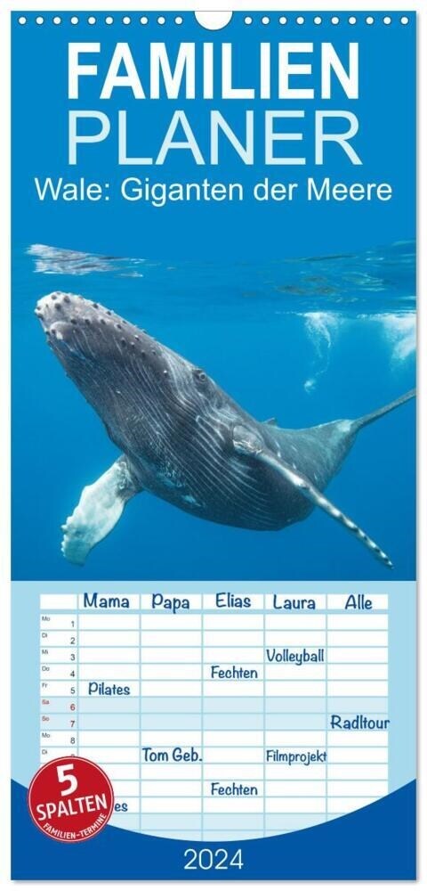 Familienplaner 2024 - Wale: Giganten der Meere mit 5 Spalten (Wandkalender, 21 x 45 cm) CALVENDO (Calendar)